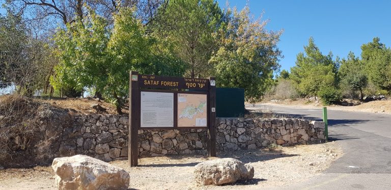 טיול מעגלי בסטף למשפחות