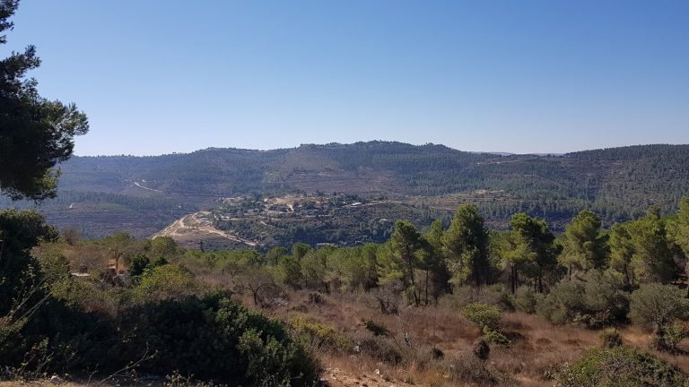 טיול מעגלי בסטף למשפחות