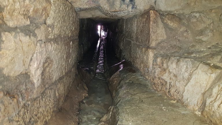 טיול מעגלי בסטף למשפחות