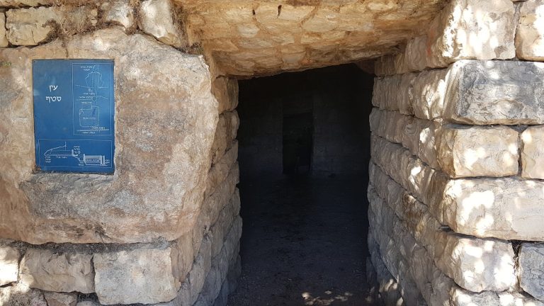 טיול מעגלי בסטף למשפחות