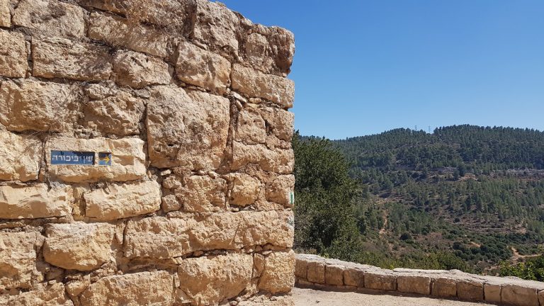 טיול מעגלי בסטף למשפחות