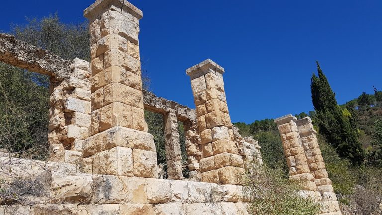 טיול מעגלי בסטף למשפחות