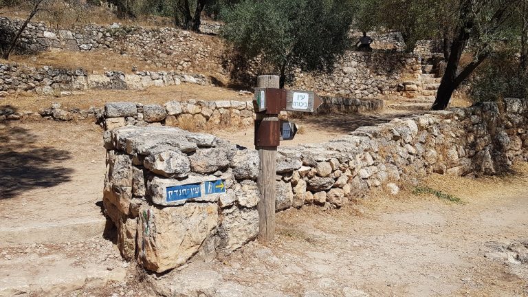 טיול מעגלי בסטף למשפחות