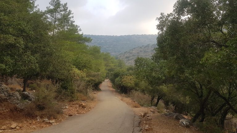 נחל בצת שרך גליל מערבי