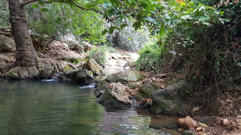 נחל בצת שרך גליל מערבי