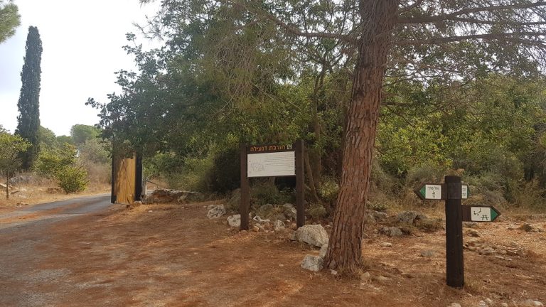 נחל בצת שרך גליל מערבי