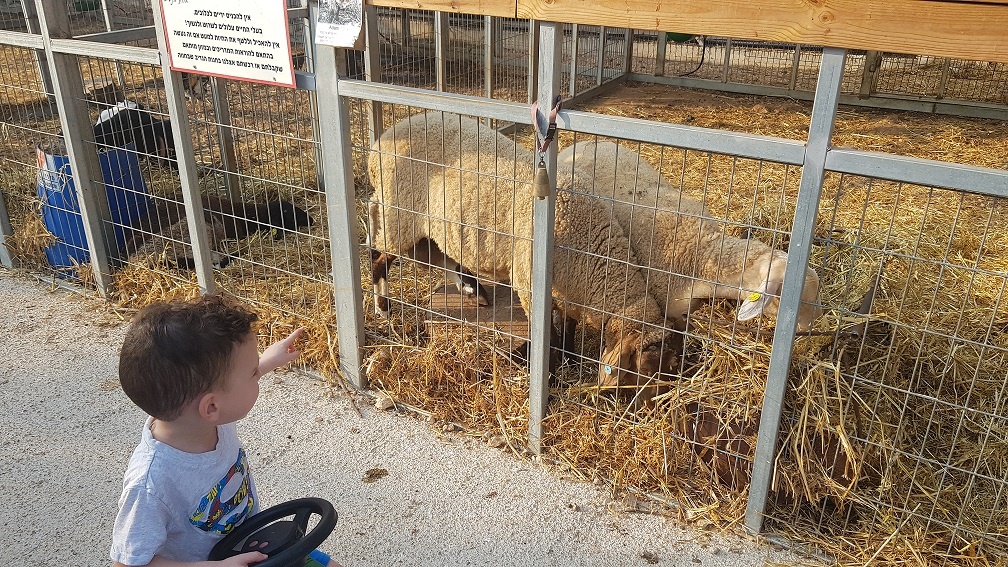חוות הנדיב ברמת הנדיב – זכרון יעקב