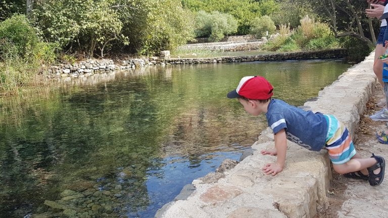 שמורת הטבע הבניאס נחל חרמון - מעיינות