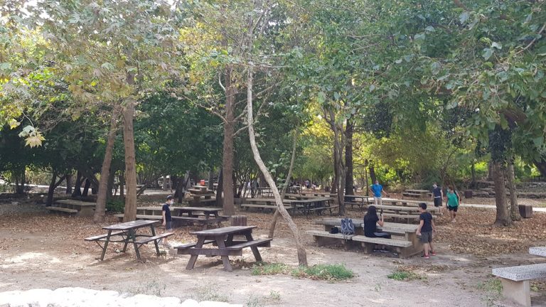 שמורת הטבע הבניאס נחל חרמון - מעיינות