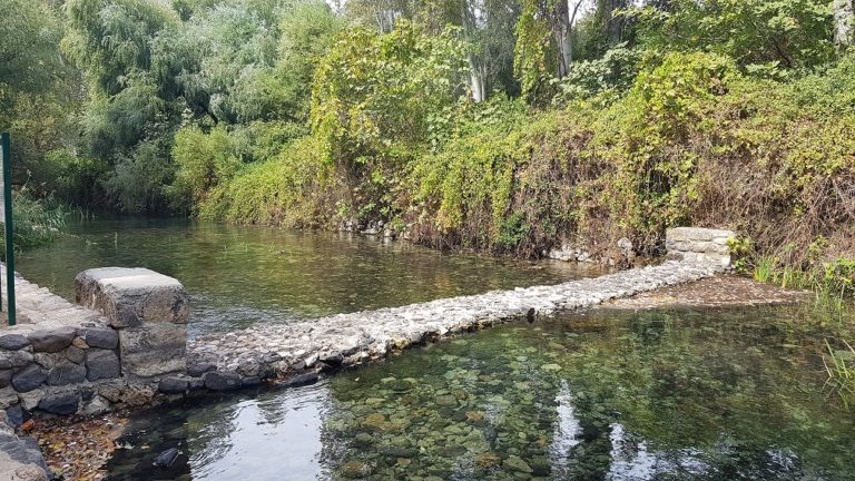 שמורת הטבע הבניאס נחל חרמון - מעיינות