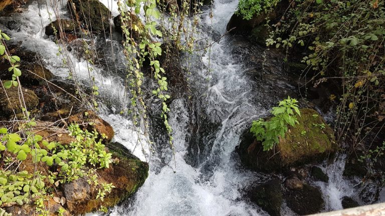 שמורת הטבע הבניאס נחל חרמון - מעיינות