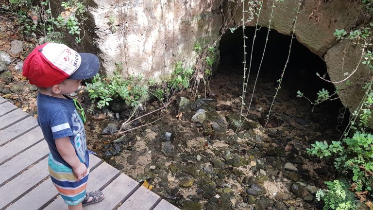 שמורת הטבע הבניאס נחל חרמון - מעיינות