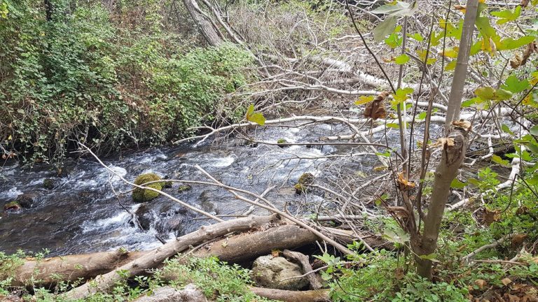 שמורת הטבע הבניאס נחל חרמון - מעיינות