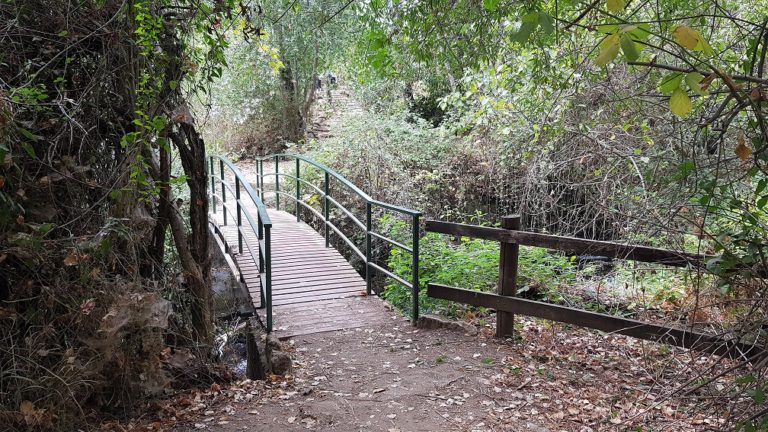 שמורת הטבע הבניאס נחל חרמון - מעיינות