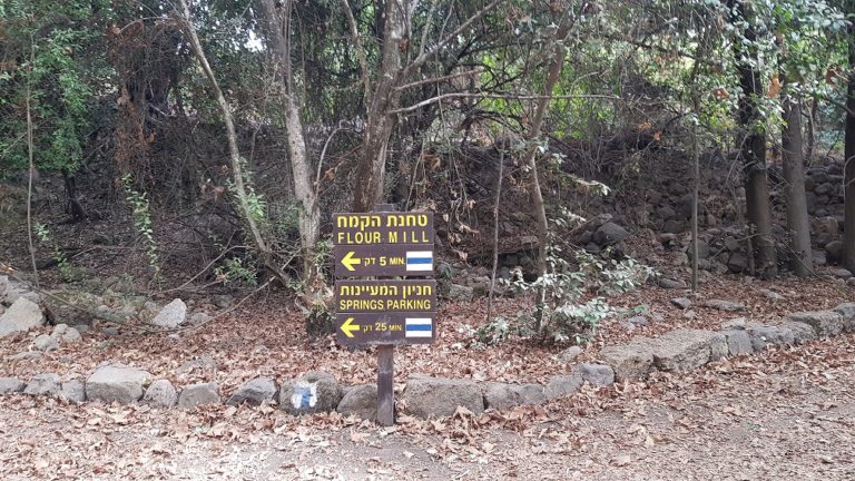 שמורת הטבע הבניאס נחל חרמון - מעיינות