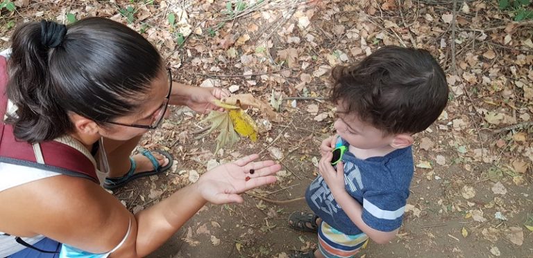 שמורת הטבע הבניאס נחל חרמון - מעיינות