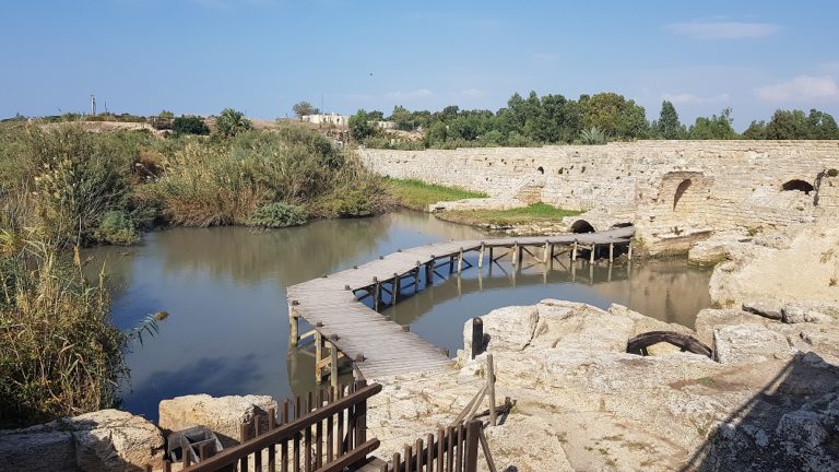 שמורת הטבע נחל תנינים