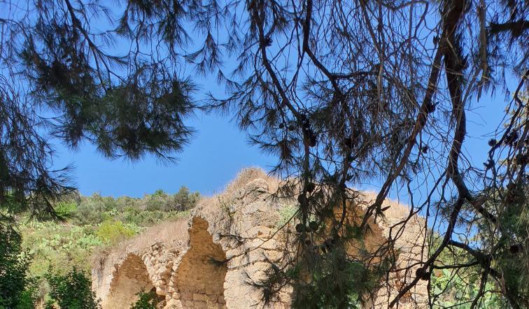 עין איילה וחורבת שמרי בנחל שמרי - שביל שלוחת איילה יער עופר