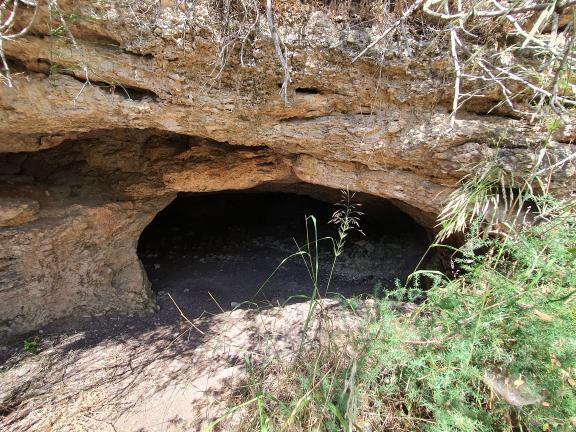 עין איילה וחורבת שמרי בנחל שמרי - שביל שלוחת איילה יער עופר