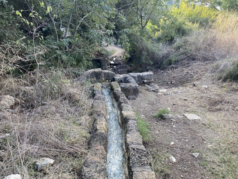 עין איילה וחורבת שמרי בנחל שמרי - שביל שלוחת איילה יער עופר