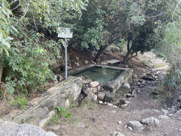עין איילה וחורבת שמרי בנחל שמרי - שביל שלוחת איילה יער עופר