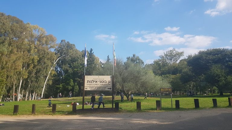 יער האילנות – גן בוטני יערני (ארבורטום) ומרכז מבקרים