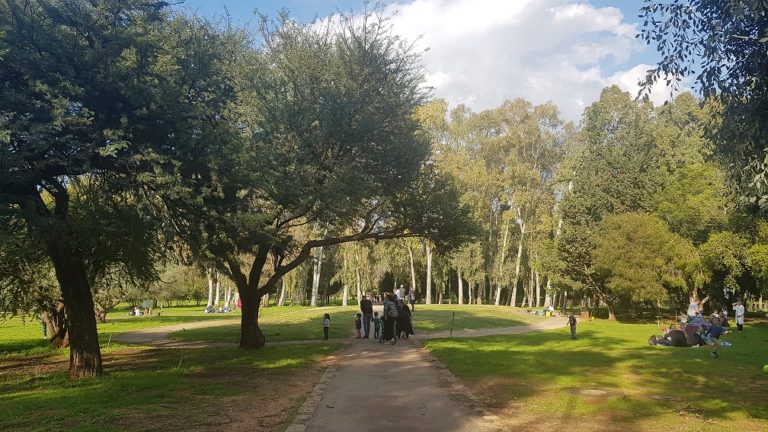 יער האילנות – גן בוטני יערני (ארבורטום) ומרכז מבקרים