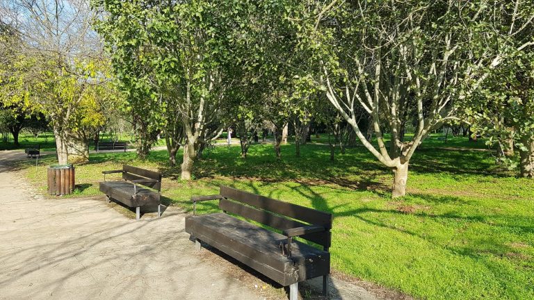 יער האילנות – גן בוטני יערני (ארבורטום) ומרכז מבקרים