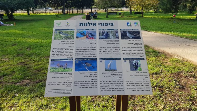 יער האילנות – גן בוטני יערני (ארבורטום) ומרכז מבקרים