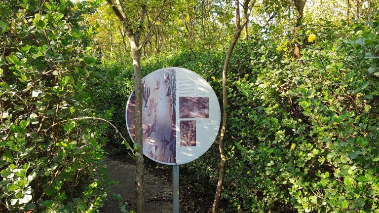 יער האילנות – גן בוטני יערני (ארבורטום) ומרכז מבקרים