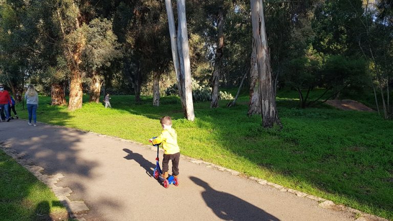 יער האילנות – גן בוטני יערני (ארבורטום) ומרכז מבקרים