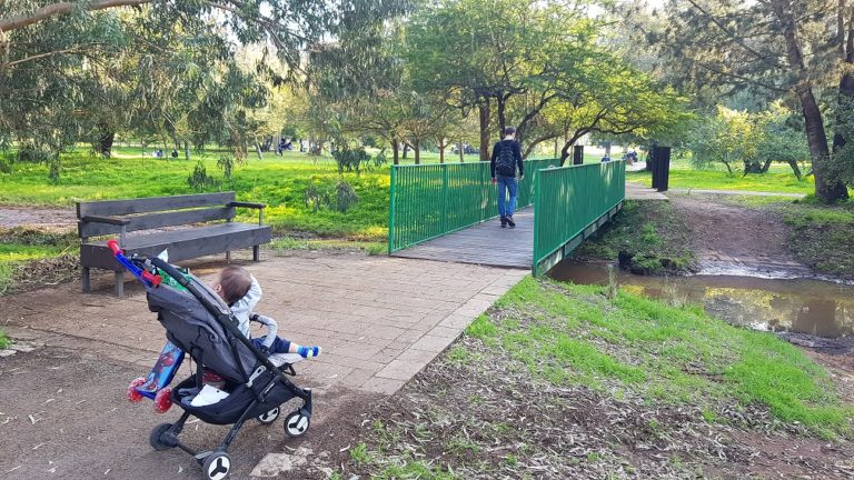 יער האילנות – גן בוטני יערני (ארבורטום) ומרכז מבקרים