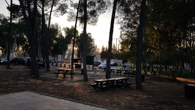 יער האילנות – גן בוטני יערני (ארבורטום) ומרכז מבקרים