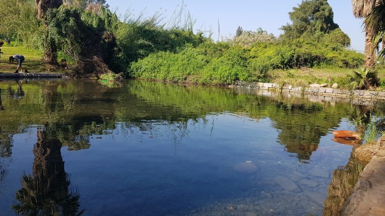 עין נון מגדל כנרת