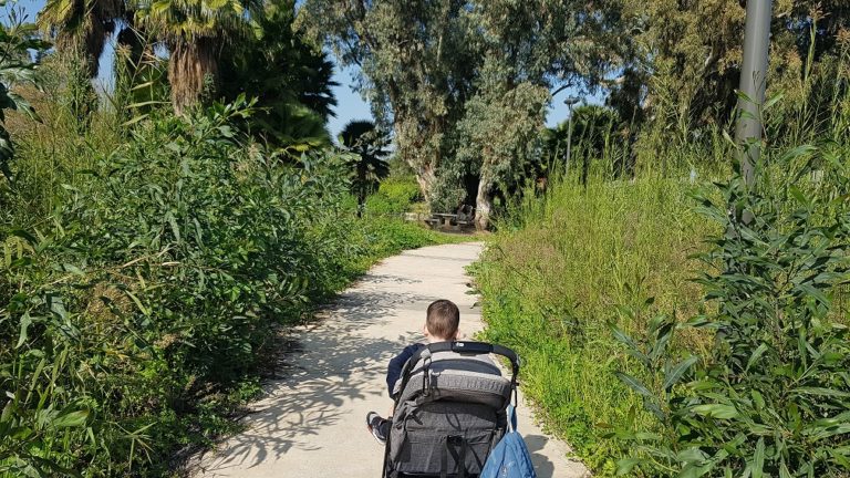 עין נון מגדל כנרת