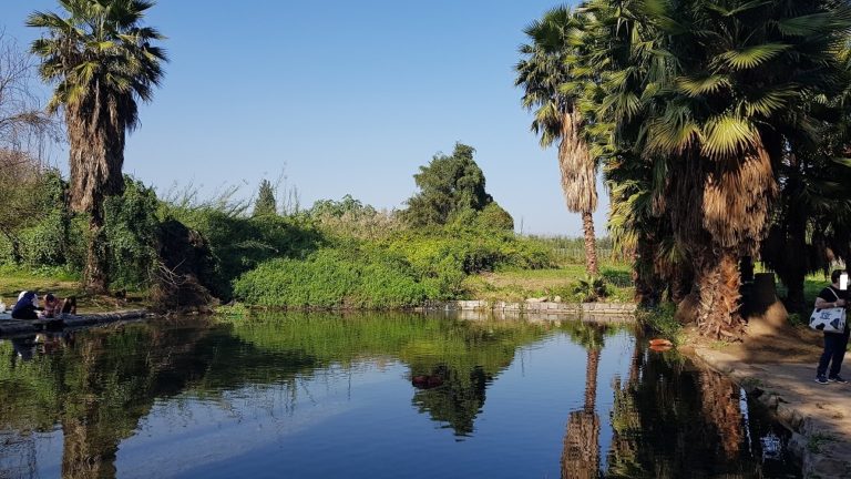 עין נון מגדל כנרת