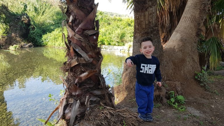 עין נון מגדל כנרת