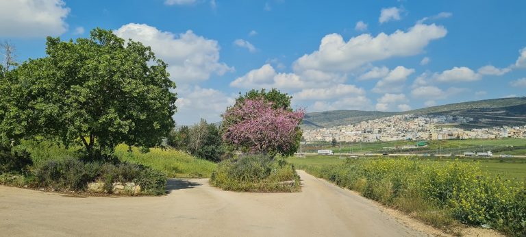 דרך נוף יער בית קשת מסלולים ותצפיות – נוף התבור