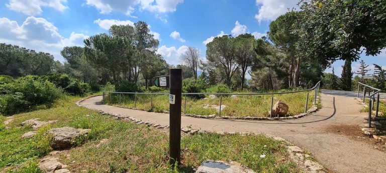 דרך נוף יער בית קשת מסלולים ותצפיות – נוף התבור