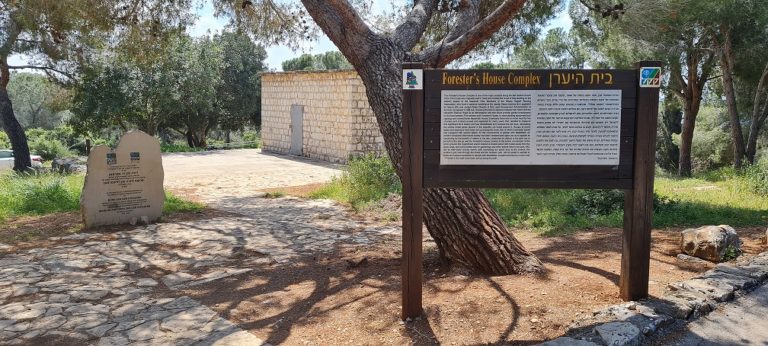 דרך נוף יער בית קשת מסלולים ותצפיות – נוף התבור