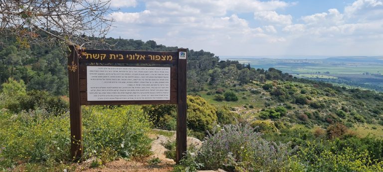 דרך נוף יער בית קשת מסלולים ותצפיות – נוף התבור