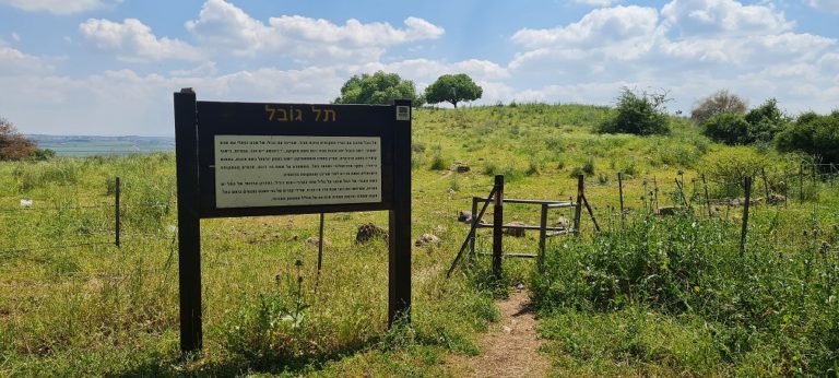 דרך נוף יער בית קשת מסלולים ותצפיות – נוף התבור