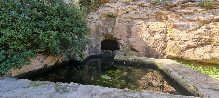 נחל שיח בוסתן כיאט חיפה