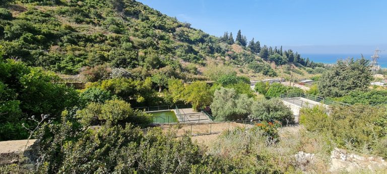 נחל שיח בוסתן כיאט חיפה