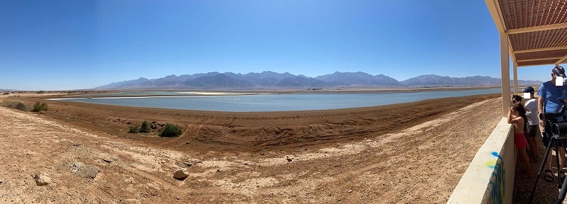 פארק הצפרות ובריכות הפלמנגו באילת