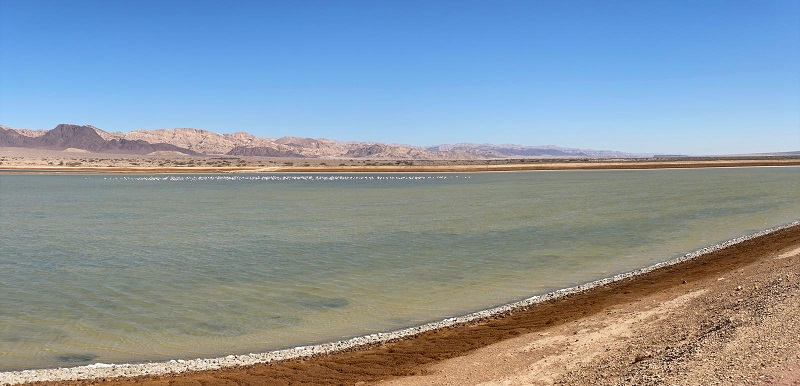 פארק הצפרות ובריכות הפלמנגו באילת