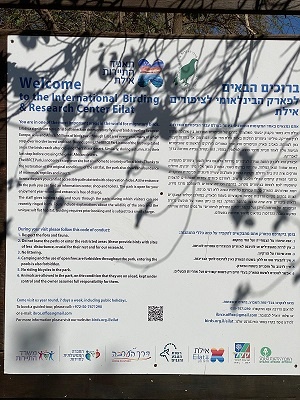 פארק הצפרות ובריכות הפלמנגו באילת