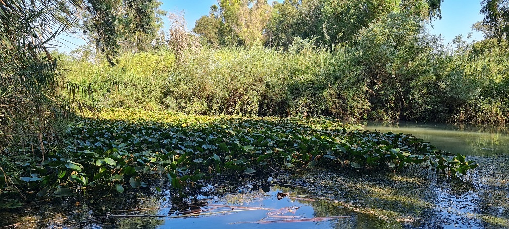 גן לאומי ירקון – מתחם מקורות הירקון