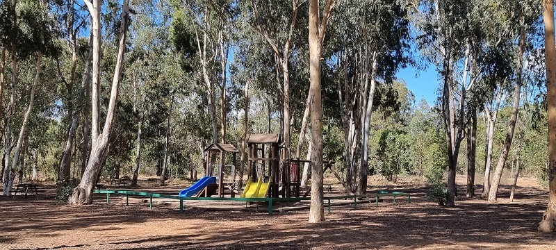 יער האילנות חניון איל"ן וחניון מתן גוטליב