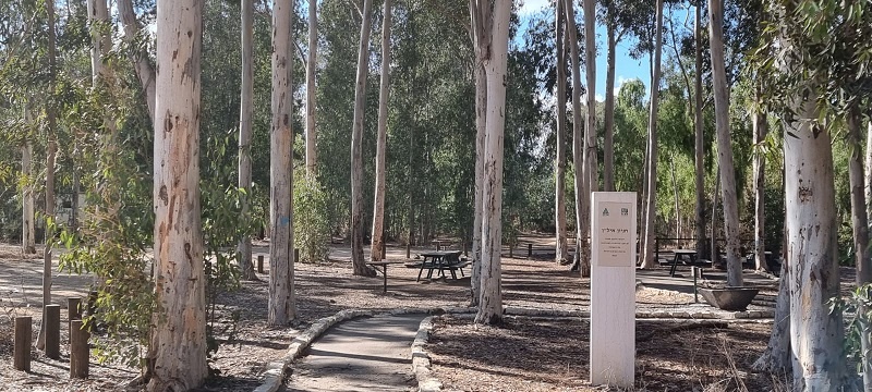 יער האילנות חניון איל"ן וחניון מתן גוטליב